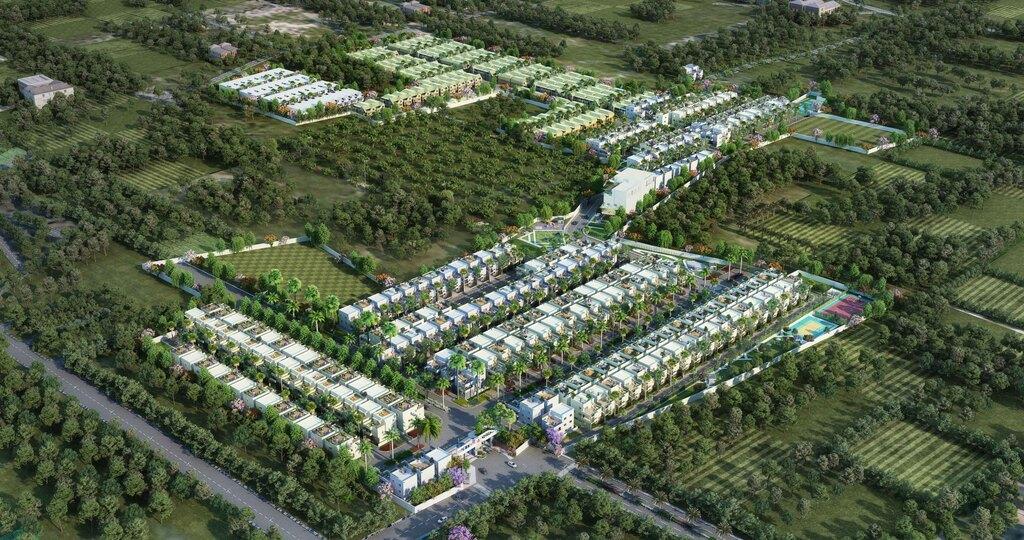 Aerial-View